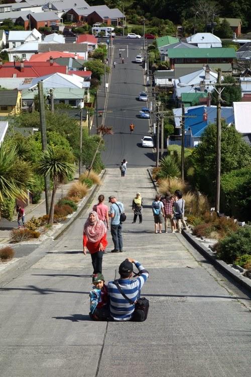 Sleep On The Steepest Street In The World! 5* Dunedin